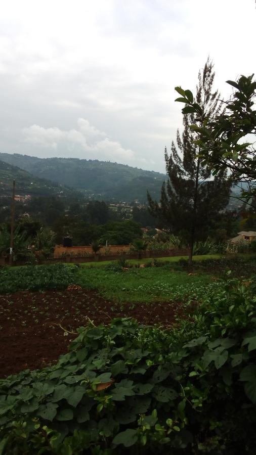 White Horse Inn Kabale المظهر الخارجي الصورة