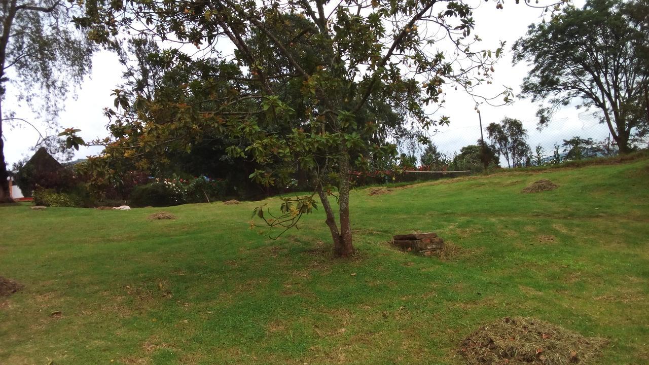 White Horse Inn Kabale المظهر الخارجي الصورة